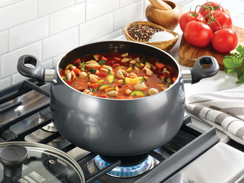 T-Fal Stainless Steel 5-qt. Dutch Oven